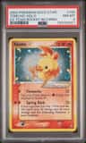 Torchic