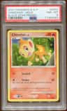 Chimchar