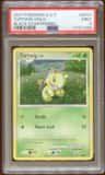 Turtwig