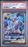 Mewtwo & Mew Gx