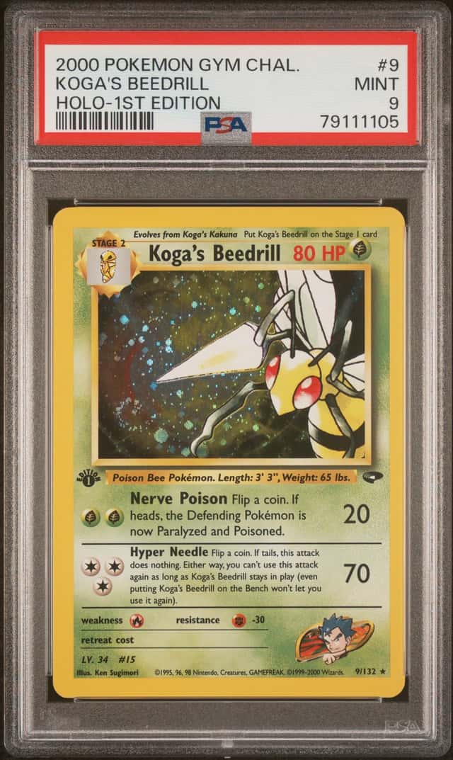 Koga's Beedrill