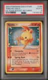 Torchic