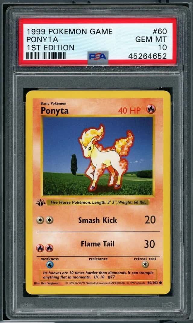 Ponyta