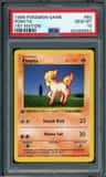 Ponyta