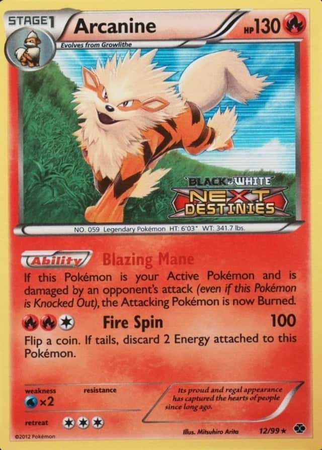 Holo · Prerelease