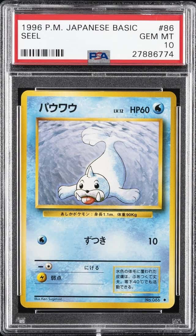 Seel