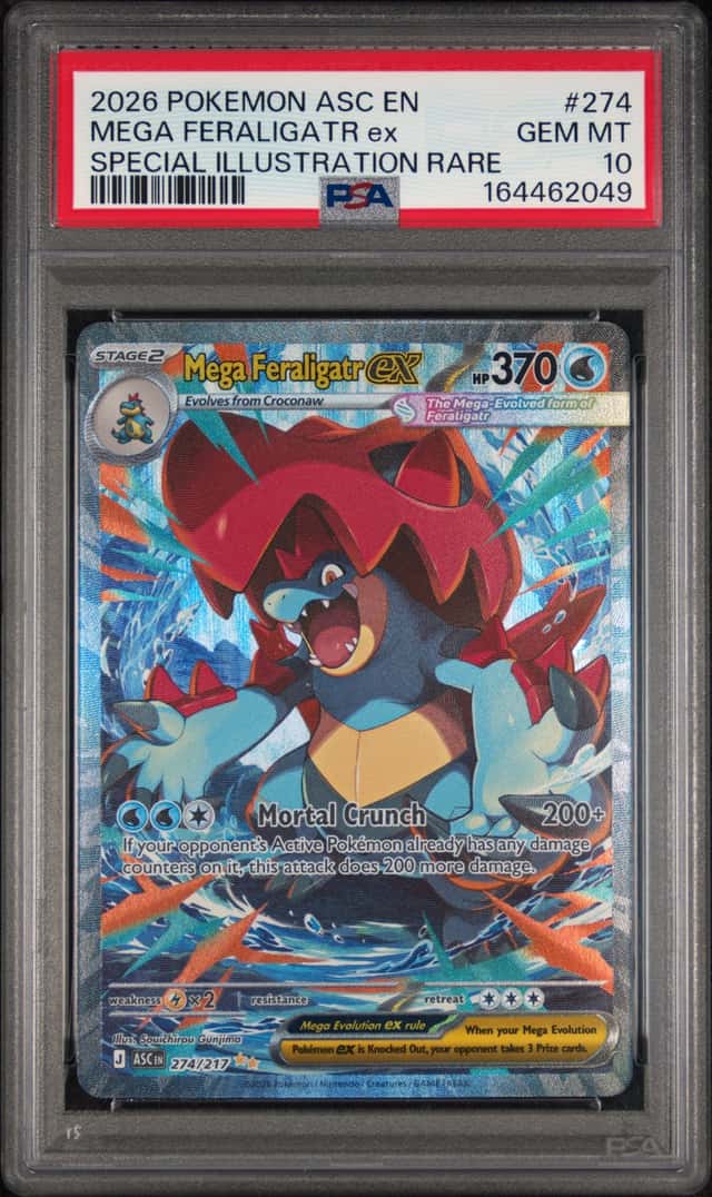 MEGA FERALIGATR ex