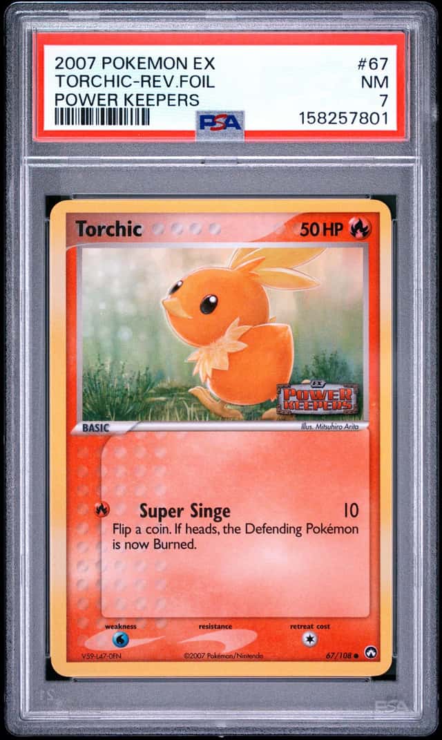 Torchic