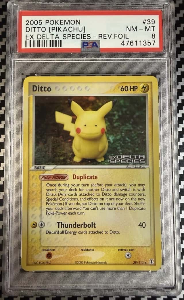 Ditto