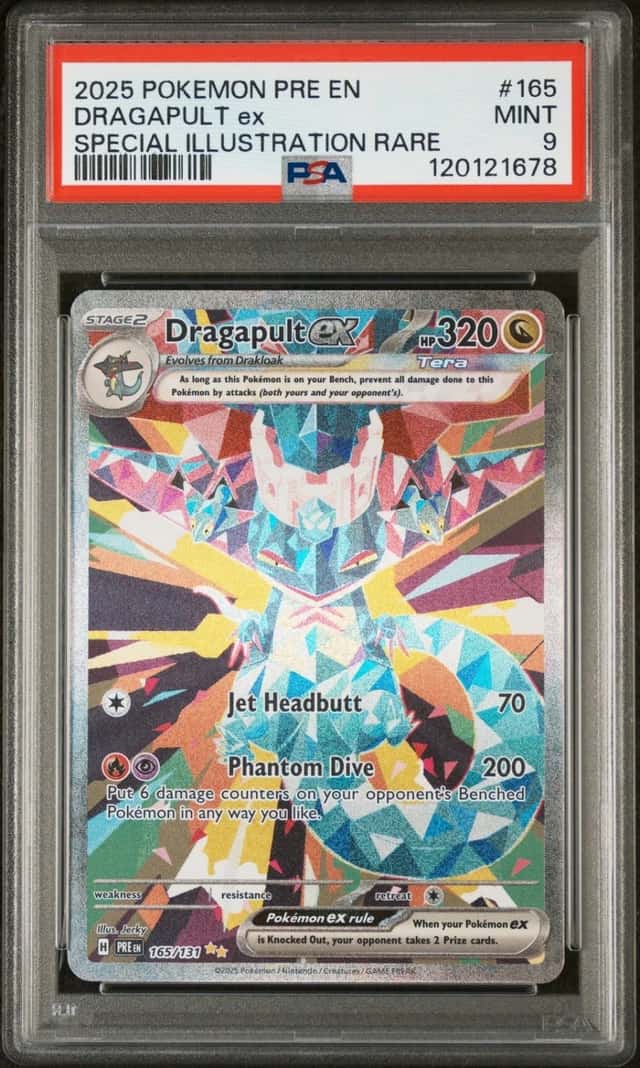 DRAGAPULT ex