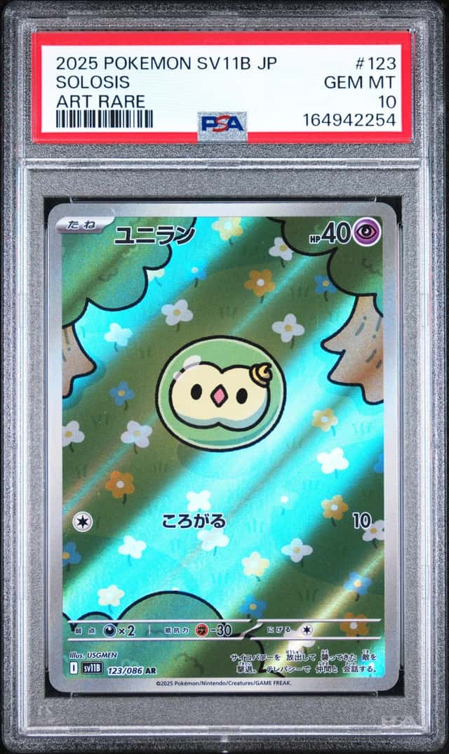 Solosis