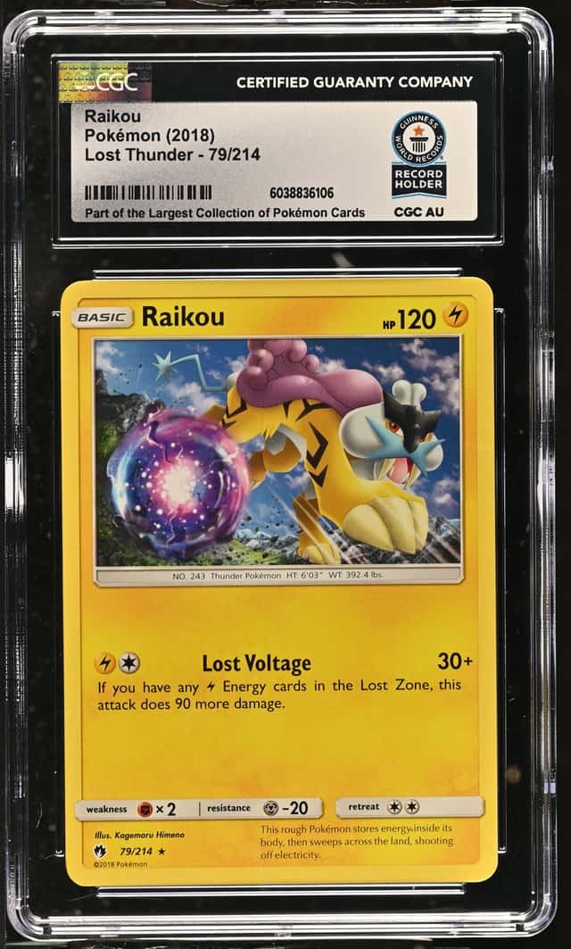 Raikou