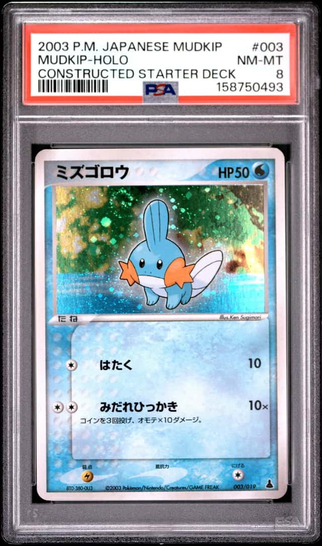 Mudkip