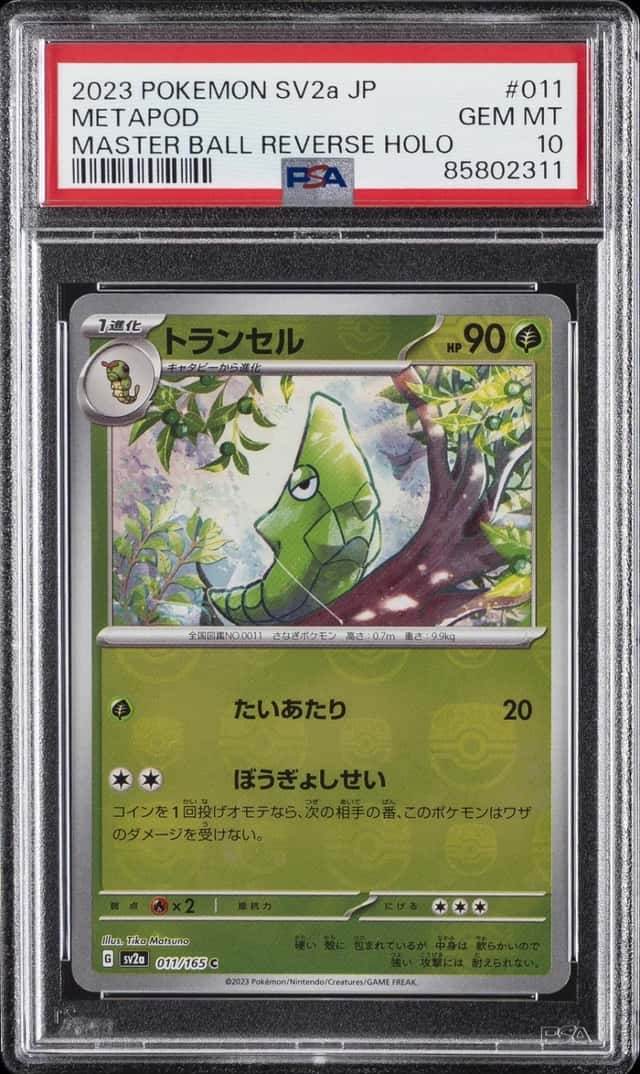 Metapod