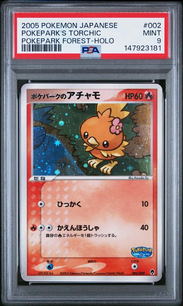 Pokepark's Torchic