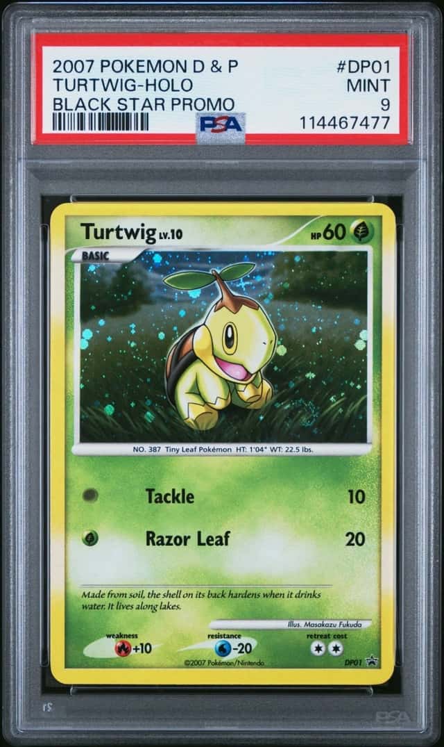 Turtwig