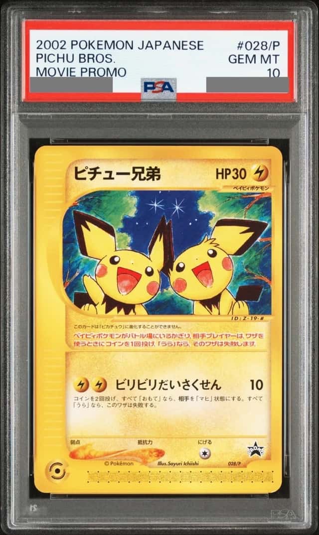 Pichu Bros