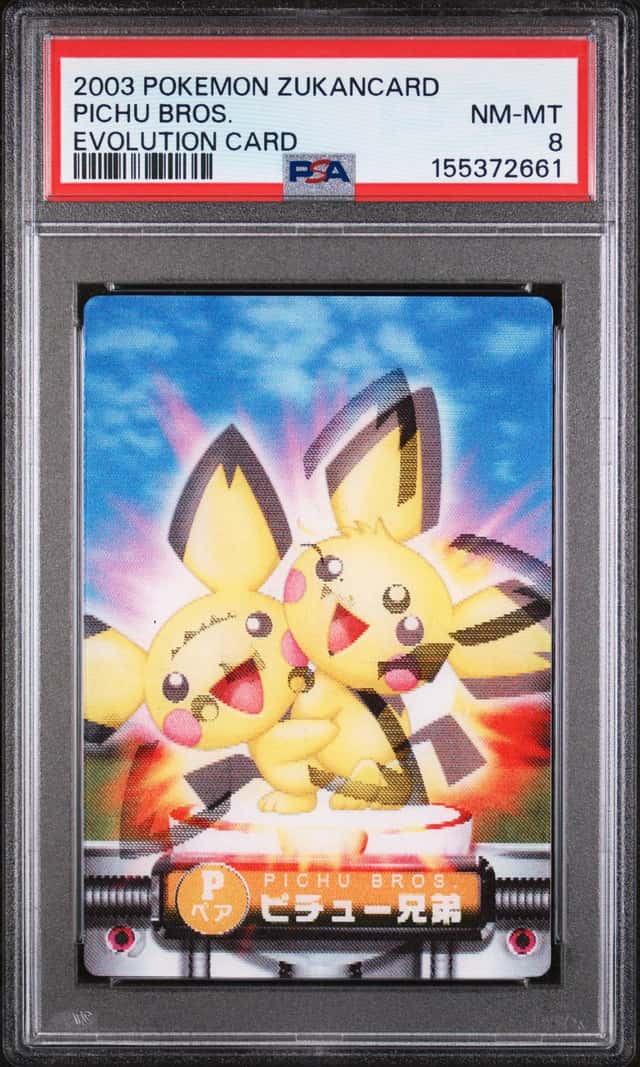 Pichu Bros