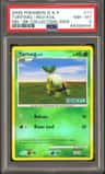 Turtwig