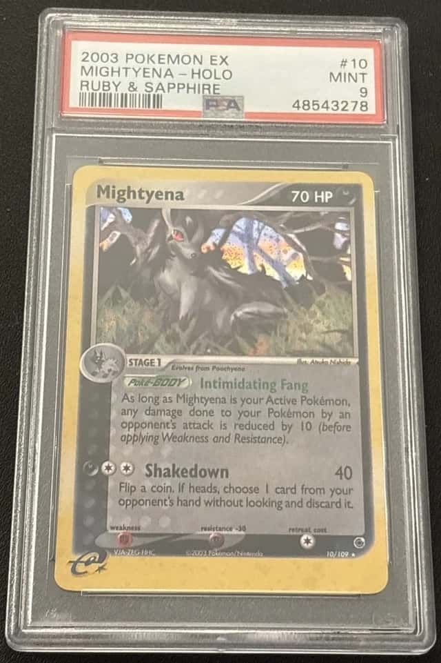 Mightyena