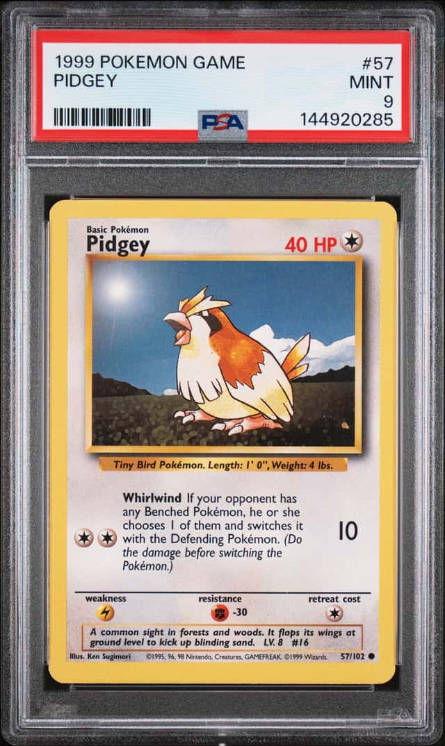Pidgey