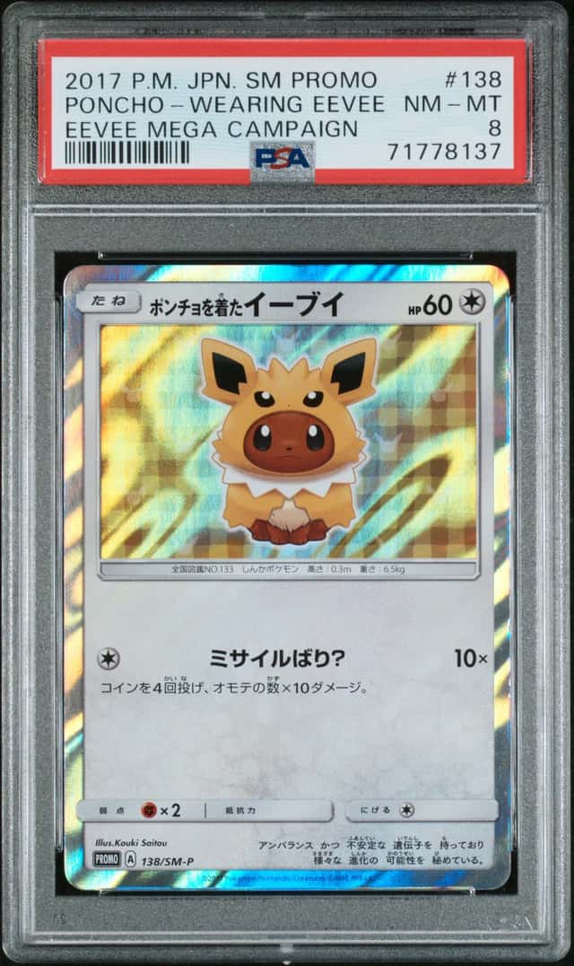 Poncho-wearing Eevee