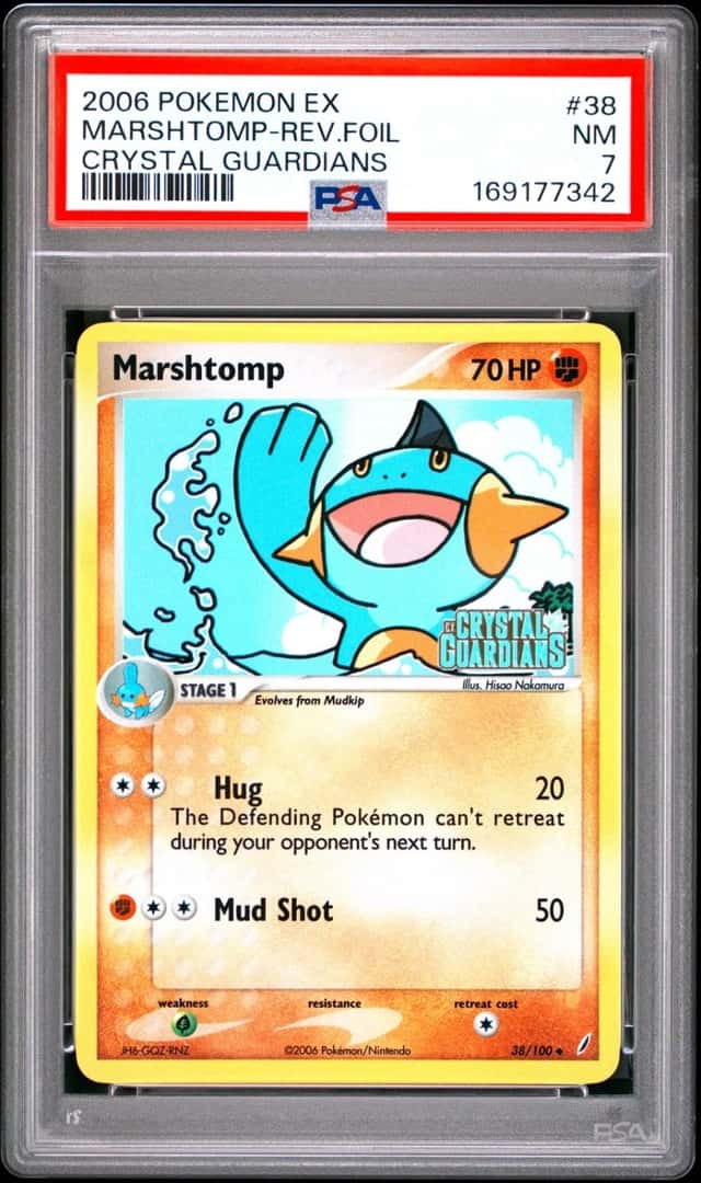 Marshtomp