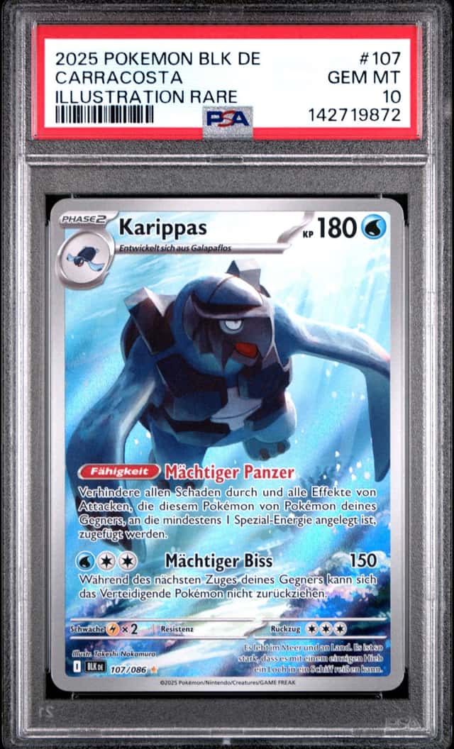Carracosta