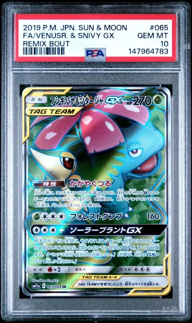 Venusaur & Snivy GX