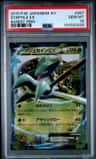 Sceptile Ex