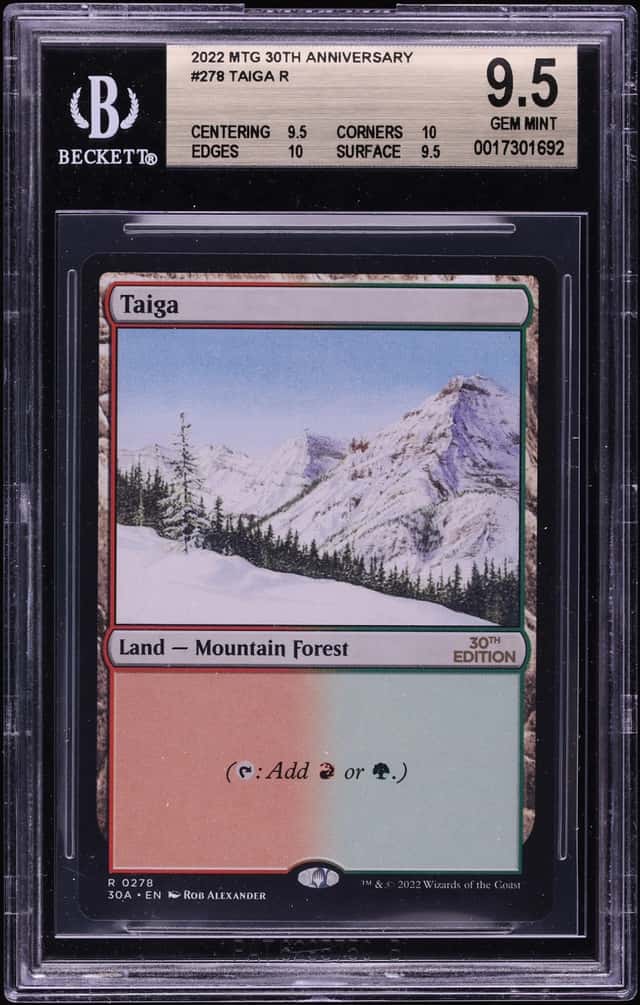 Taiga