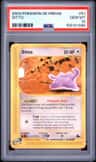 Ditto