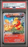 Torchic
