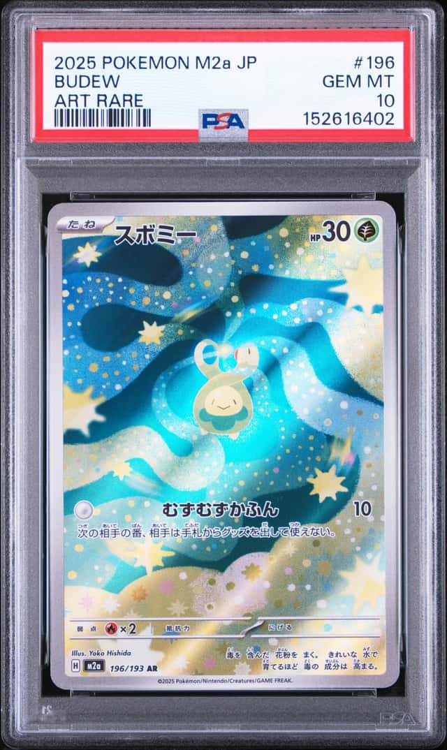 Budew
