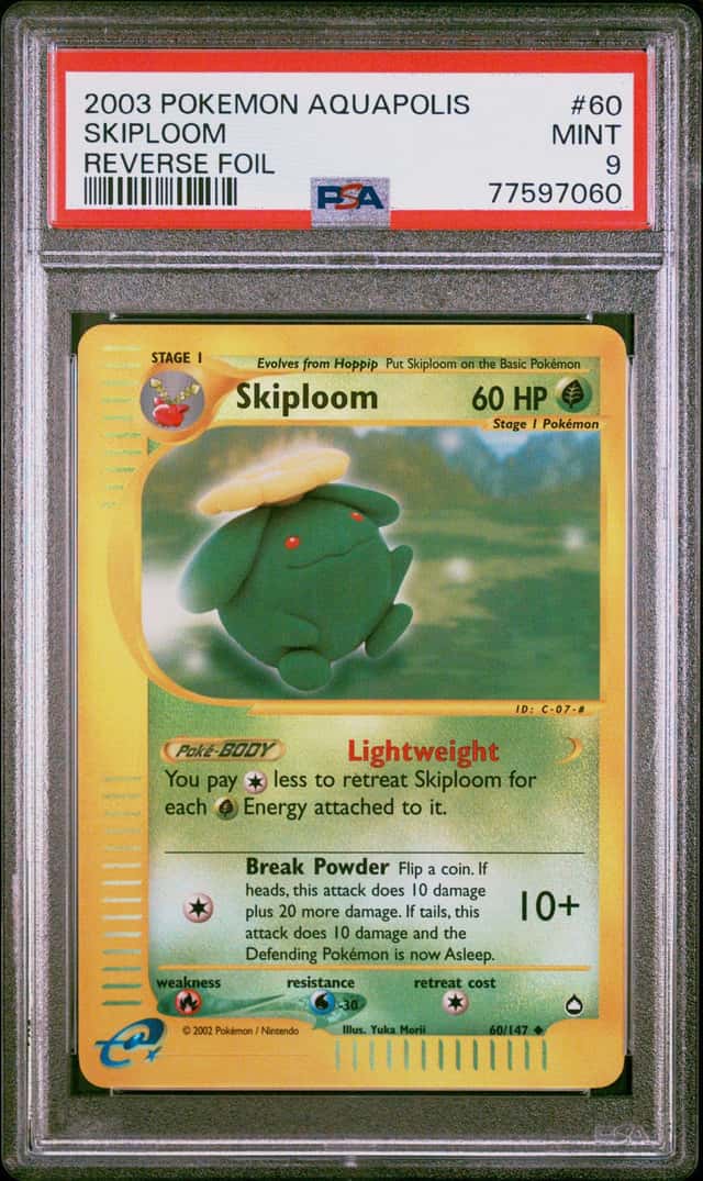 Skiploom