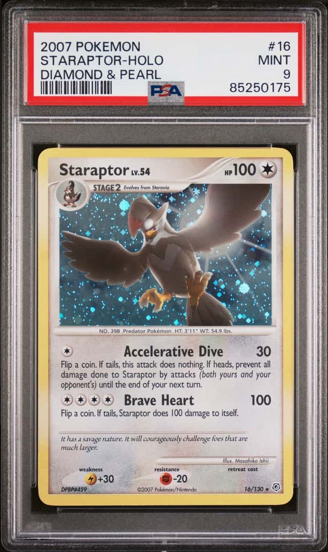Staraptor