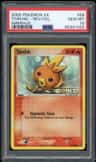 Torchic
