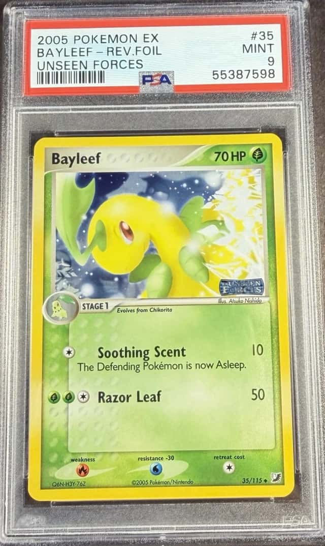 Bayleef