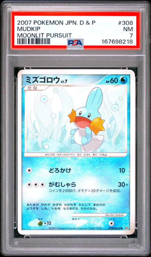 Mudkip