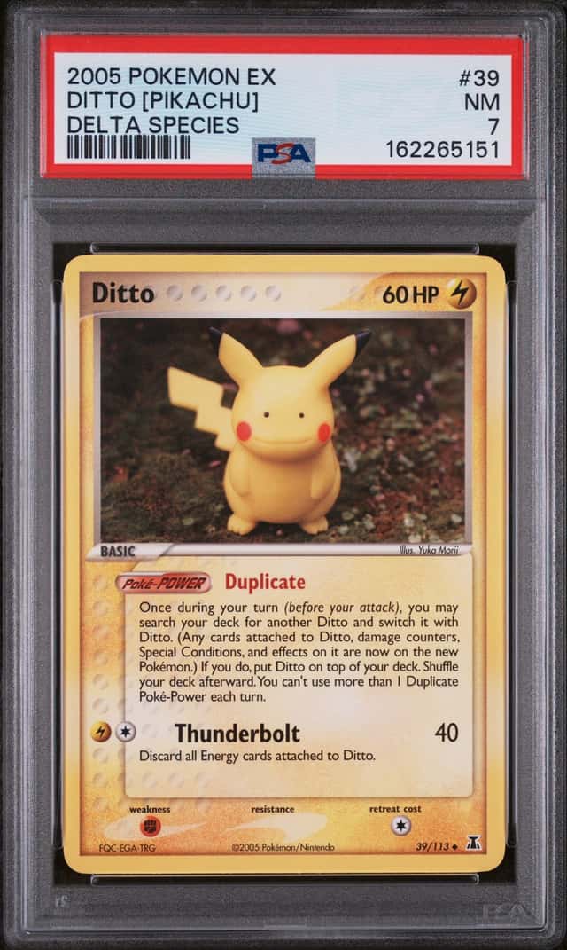 Ditto