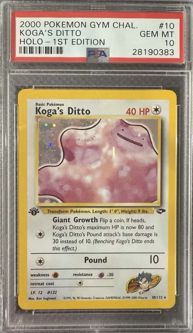 Koga's Ditto