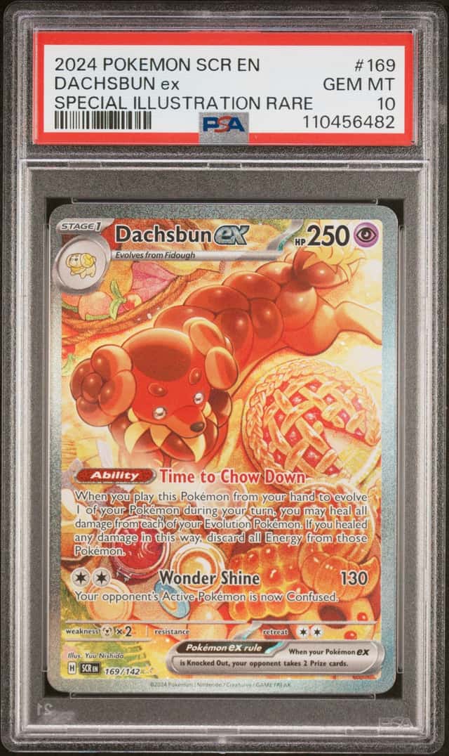 DACHSBUN ex