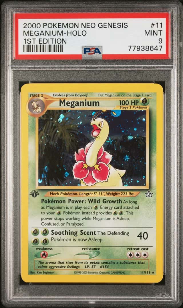 Meganium
