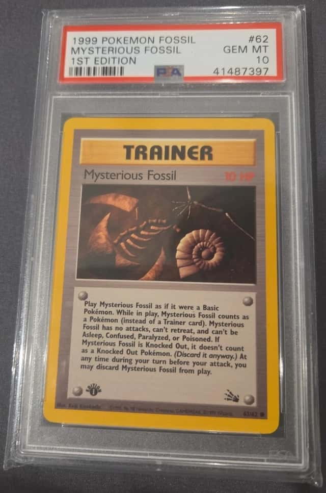 Mysterious Fossil
