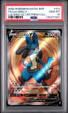 Lucario V