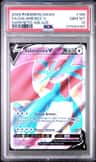 Salamence V