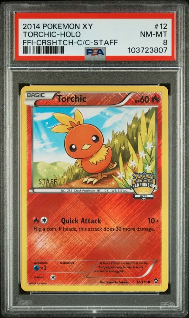 Torchic