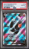 Houndoom V