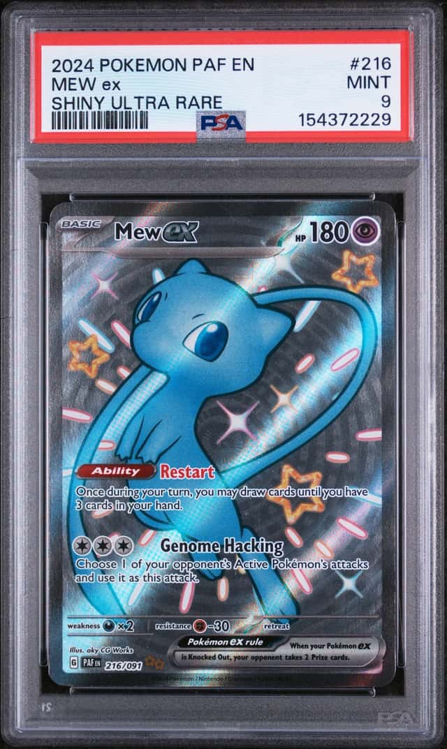MEW ex
