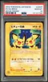 Pichu Bros